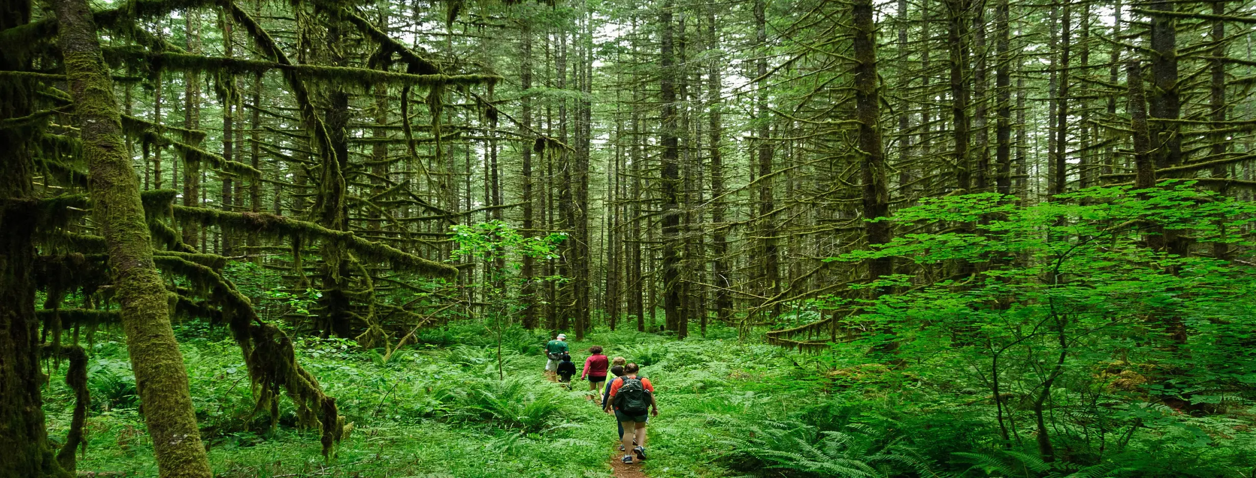 Image for Ecotourism Haven